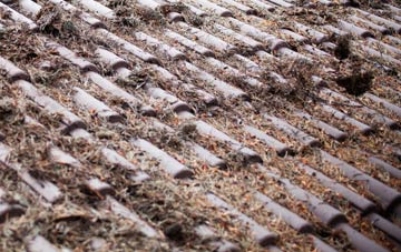 Merrifield roof cleaning companies