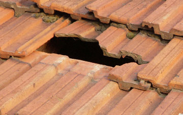 roof repair Merrifield, Devon